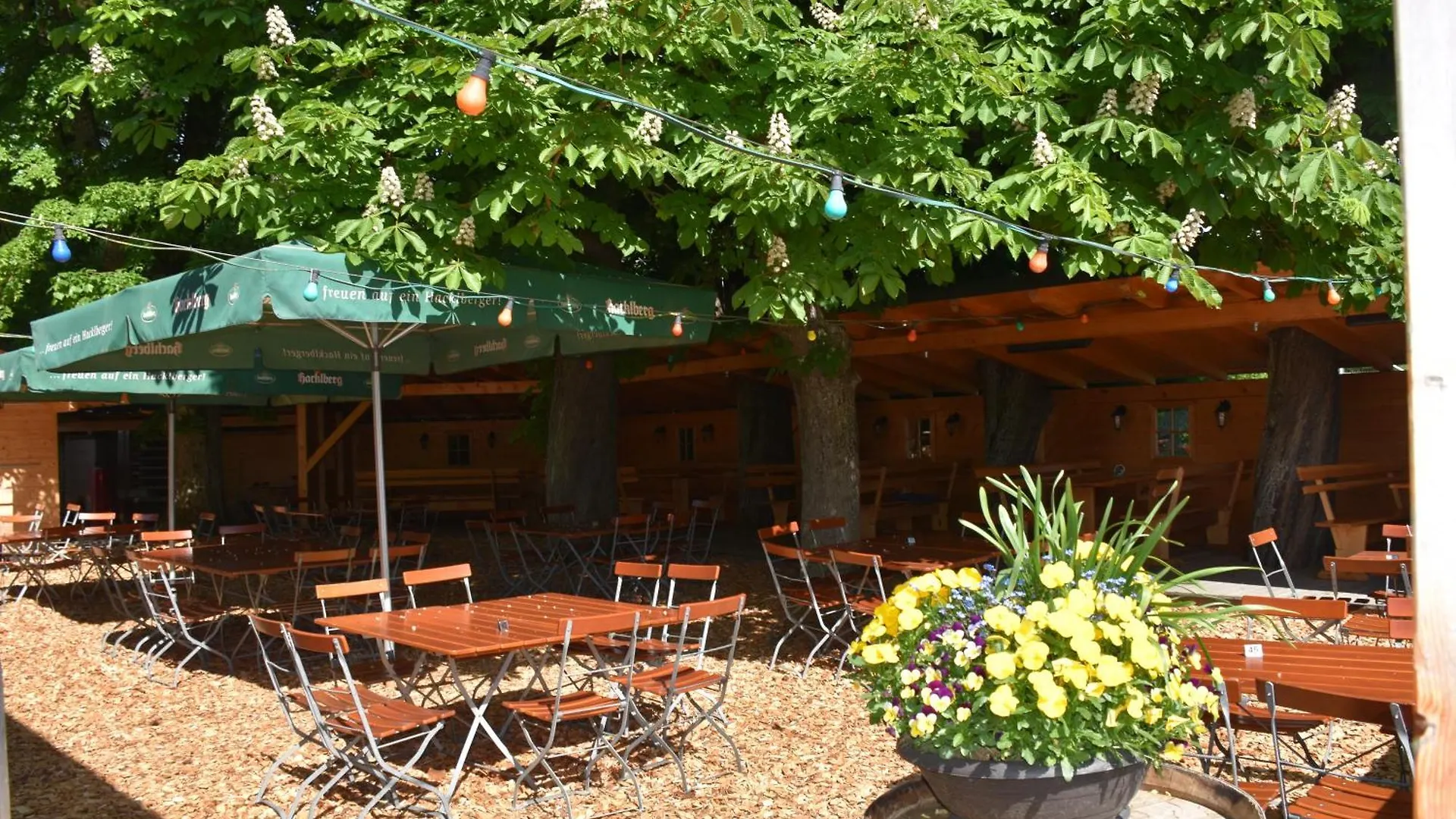 Guest house Gasthaus Und Pension Halli-Galli Passau