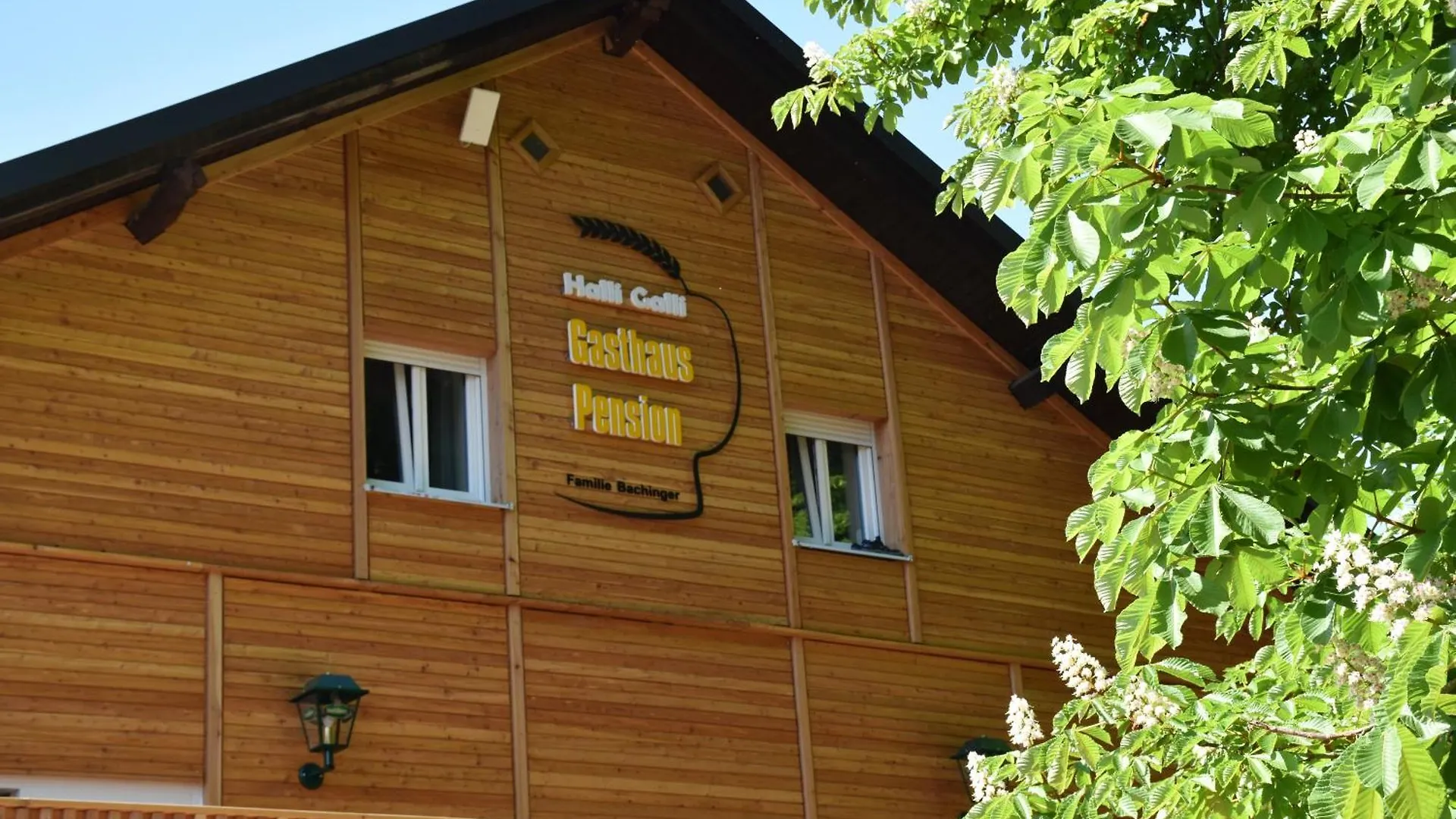 Guest house Gasthaus Und Pension Halli-Galli Passau